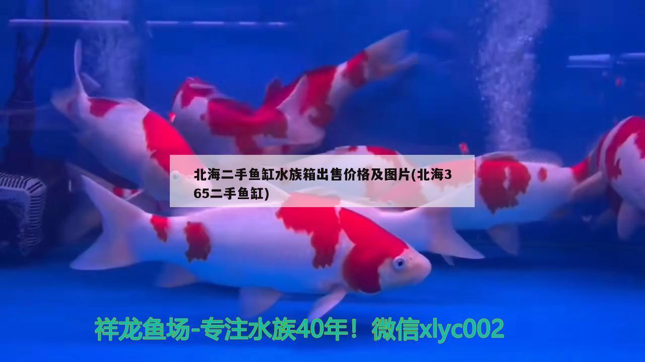 北海二手鱼缸水族箱出售价格及图片(北海365二手鱼缸)