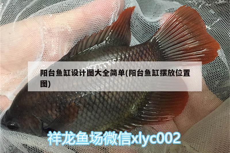 怀化水族批发市场都在哪里(湖南怀化水产交易市场)