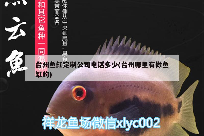 台州鱼缸定制公司电话多少(台州哪里有做鱼缸的) 刀鱼鱼