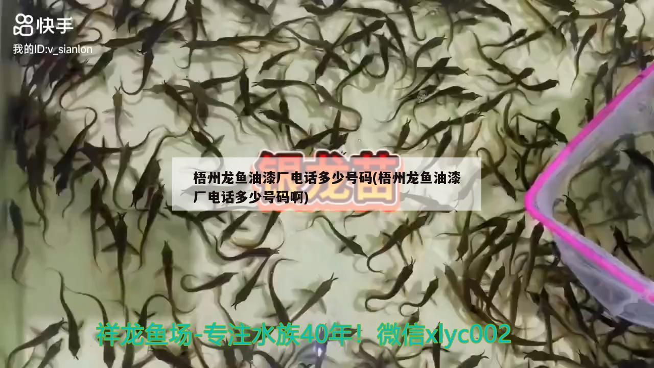 梧州龙鱼油漆厂电话多少号码(梧州龙鱼油漆厂电话多少号码啊)