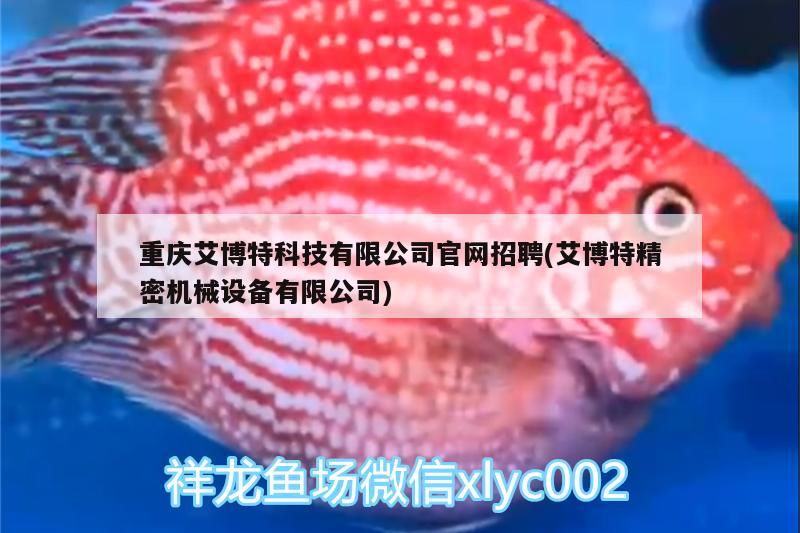 重庆艾博特科技有限公司官网招聘(艾博特精密机械设备有限公司) 博特水族