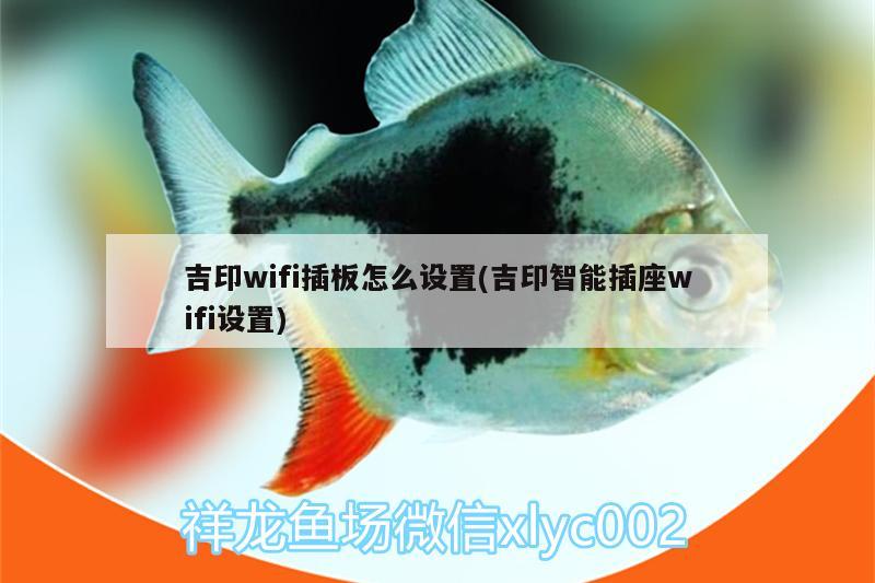 吉印wifi插板怎么设置(吉印智能插座wifi设置) 吉印水族