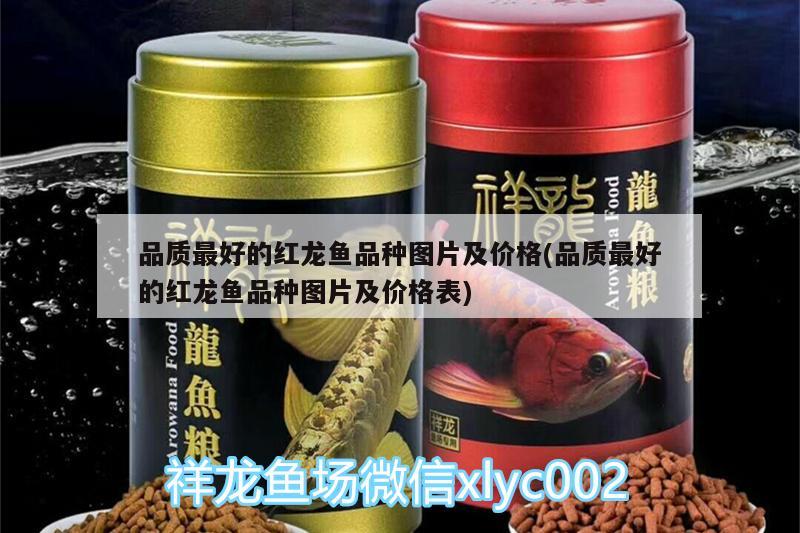 品质最好的红龙鱼品种图片及价格(品质最好的红龙鱼品种图片及价格表) 野生地图鱼