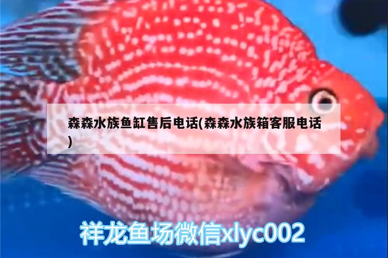 森森水族鱼缸售后电话(森森水族箱客服电话) 鱼缸/水族箱