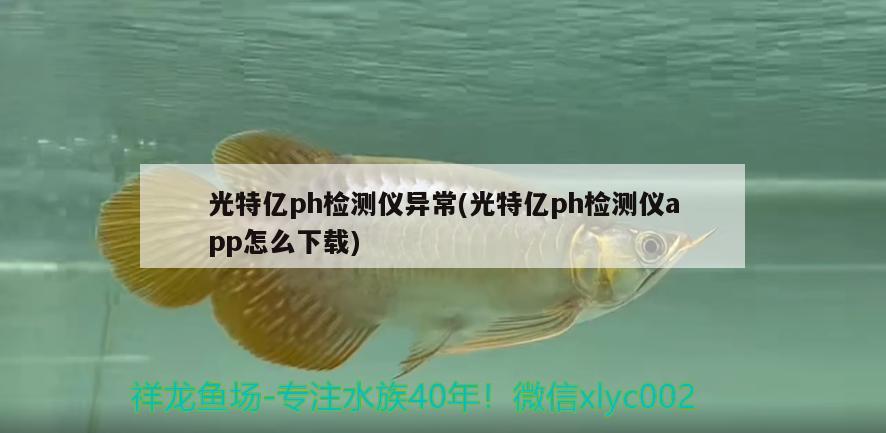 光特亿ph检测仪异常(光特亿ph检测仪app怎么下载) 光特亿