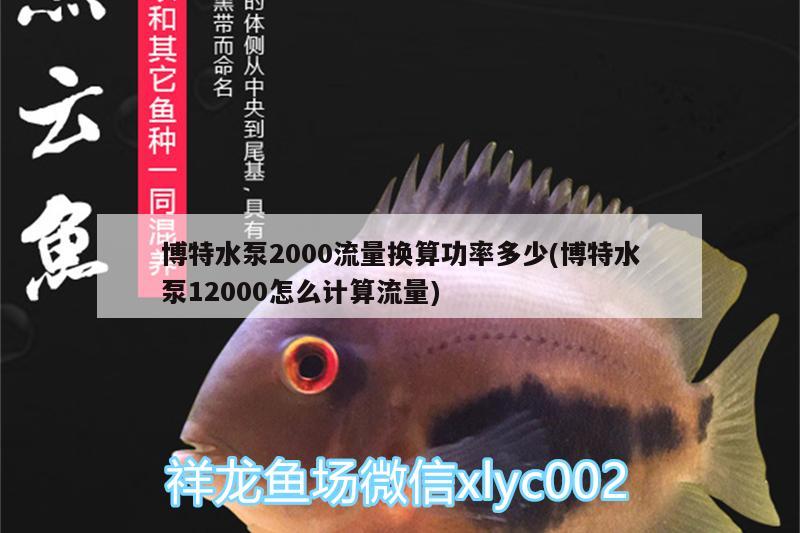 博特水泵2000流量换算功率多少(博特水泵12000怎么计算流量) 博特水族