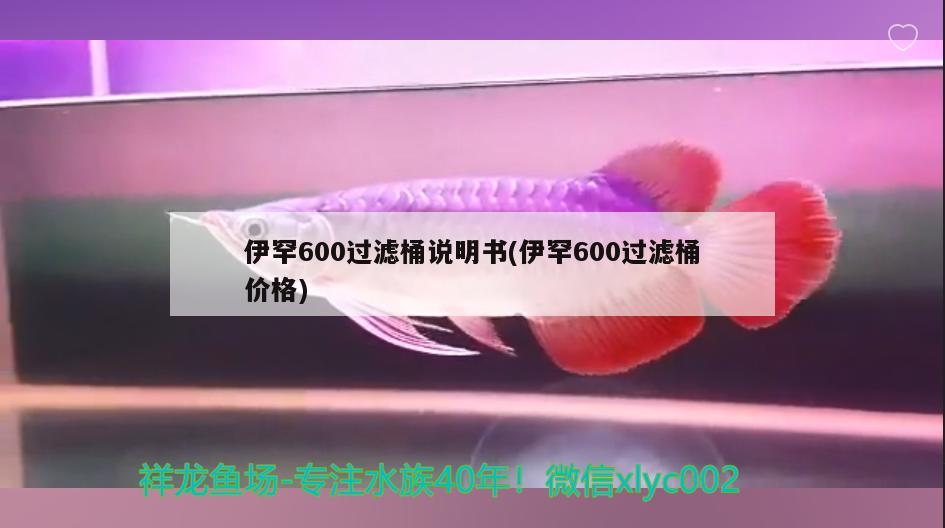 伊罕600过滤桶说明书(伊罕600过滤桶价格)