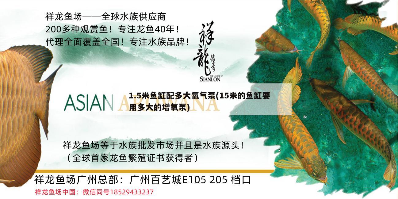 1.5米鱼缸配多大氧气泵(15米的鱼缸要用多大的增氧泵) 斑马鸭嘴鱼