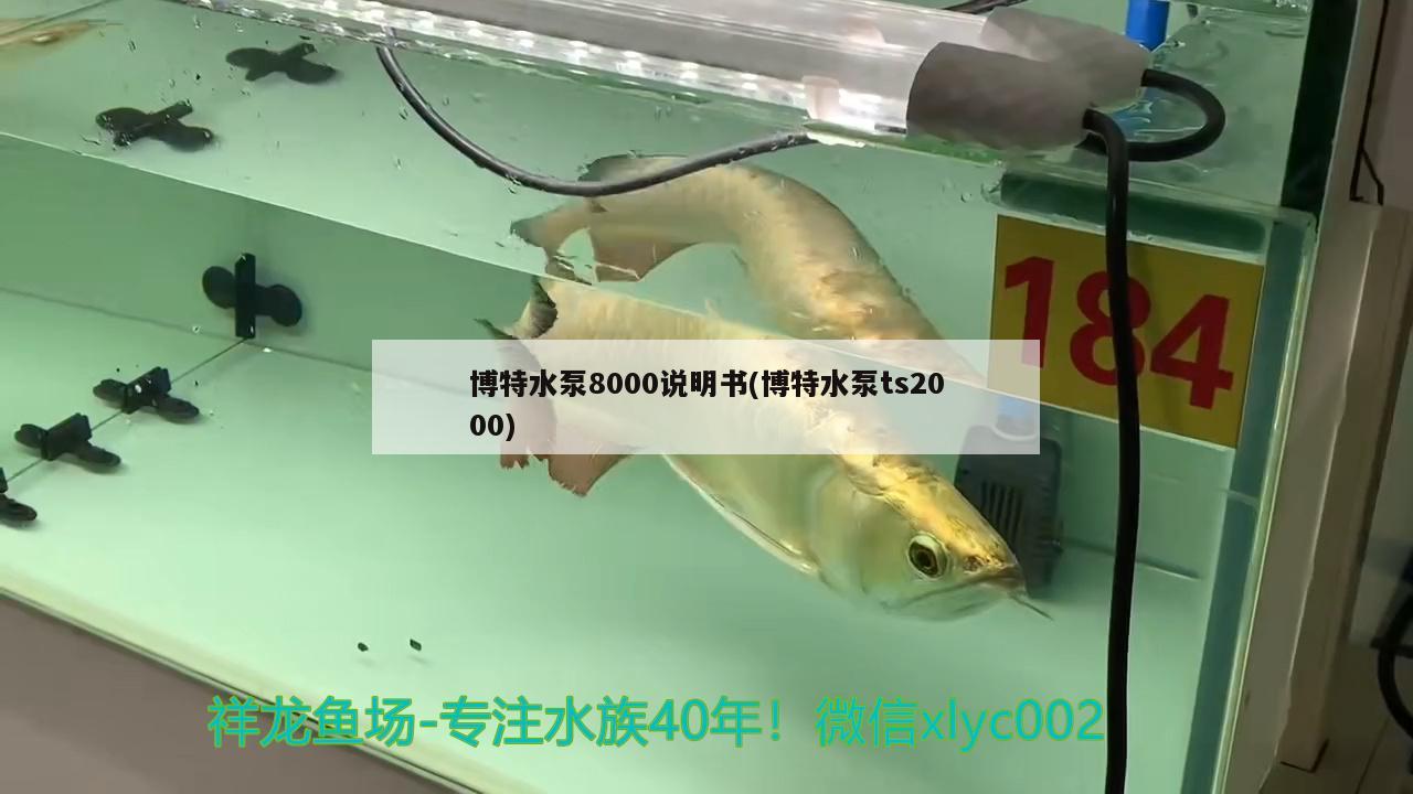 博特水泵8000说明书(博特水泵ts2000)