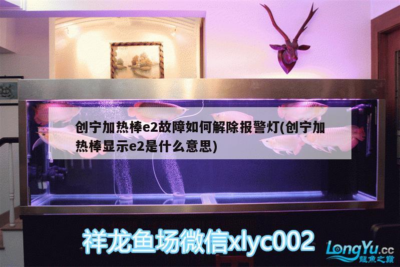 创宁加热棒e2故障如何解除报警灯(创宁加热棒显示e2是什么意思)