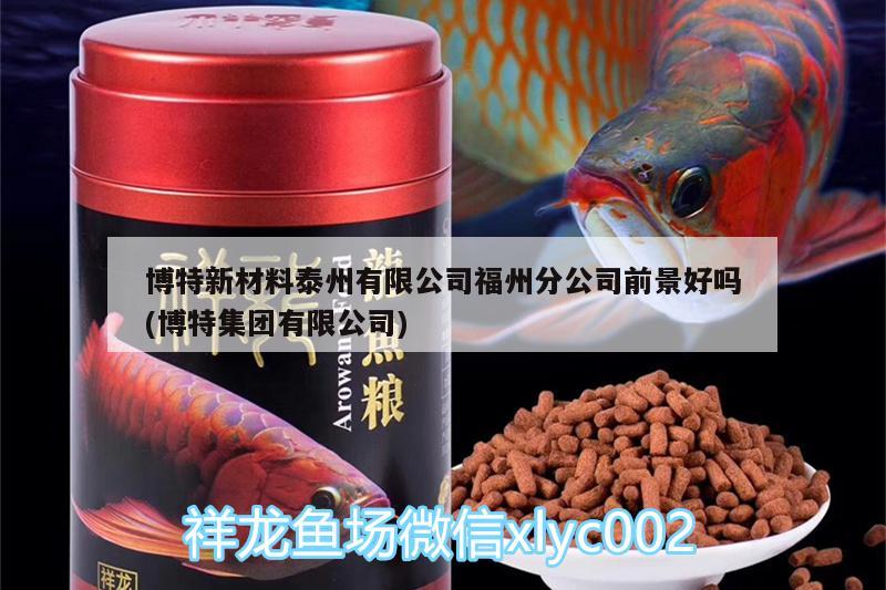 博特新材料泰州有限公司福州分公司前景好吗(博特集团有限公司) 博特水族