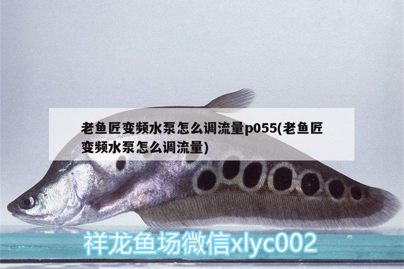 老鱼匠变频水泵怎么调流量p055(老鱼匠变频水泵怎么调流量)