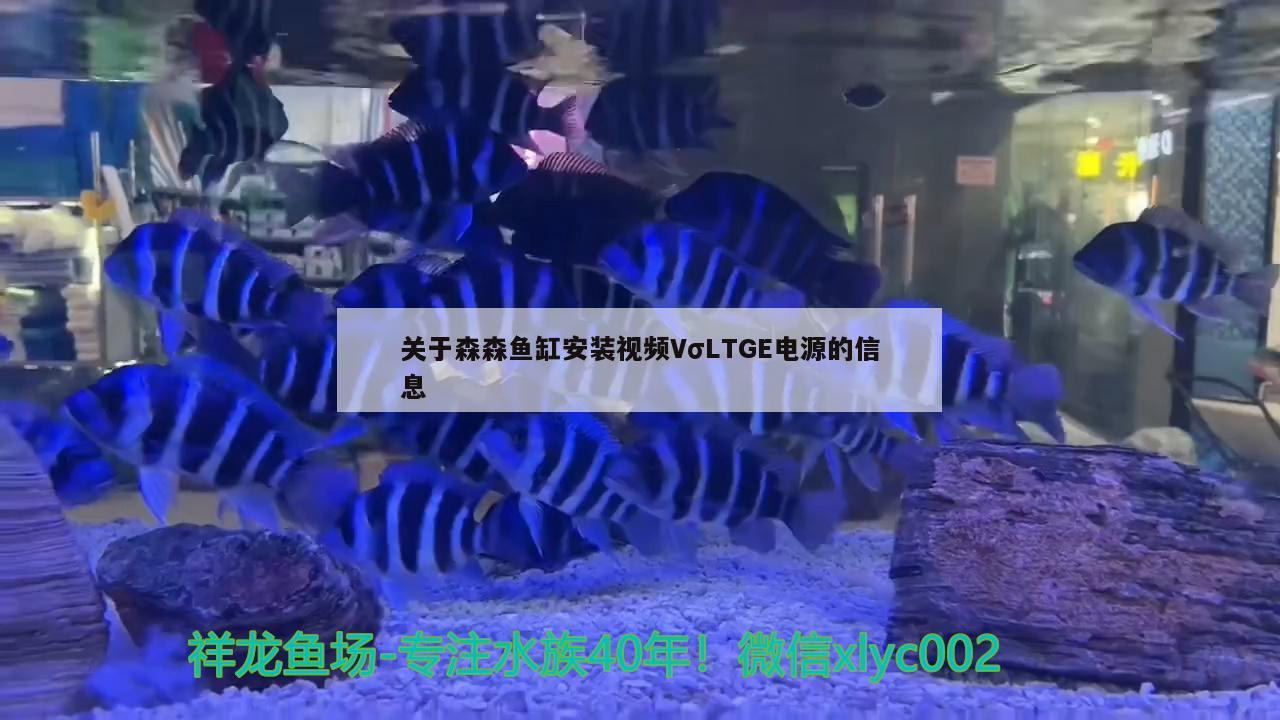 关于森森鱼缸安装视频VσLTGE电源的信息