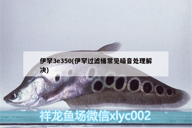 伊罕3e350(伊罕过滤桶常见噪音处理解决)