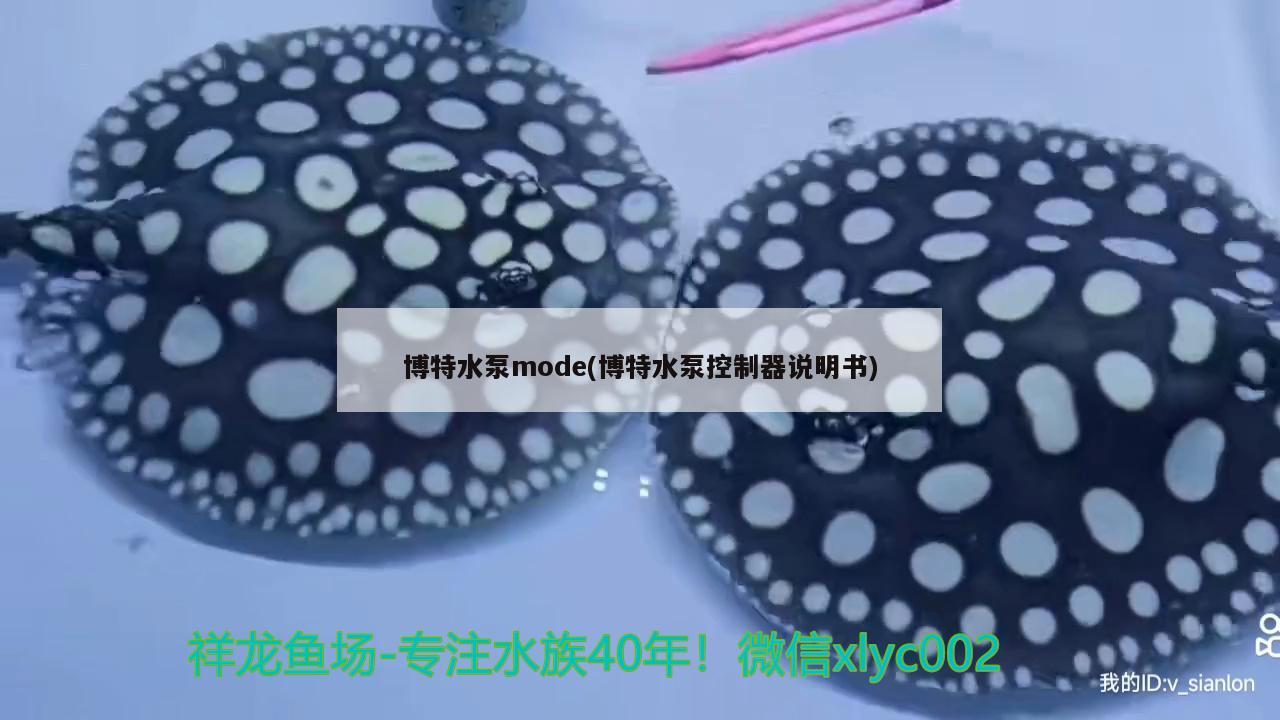 博特水泵mode(博特水泵控制器说明书) 博特水族