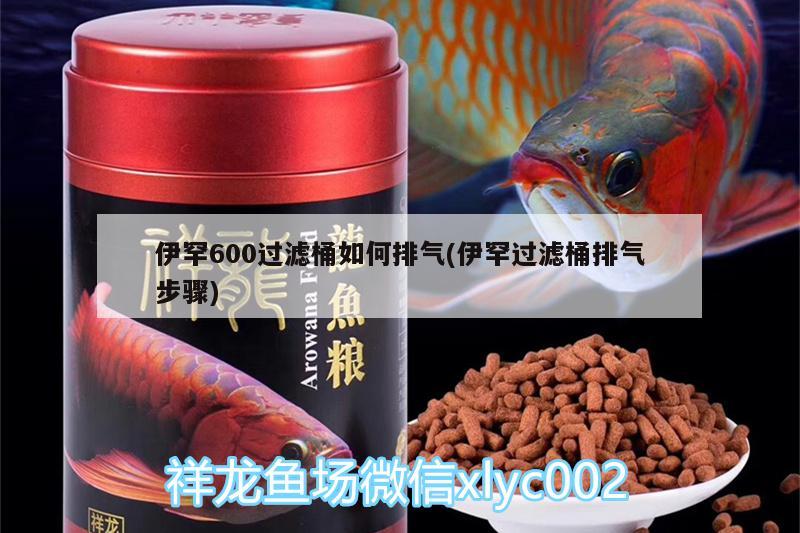 伊罕600过滤桶如何排气(伊罕过滤桶排气步骤) 伊罕水族