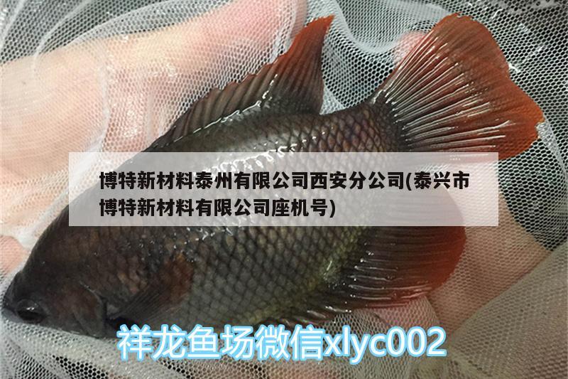 博特新材料泰州有限公司西安分公司(泰兴市博特新材料有限公司座机号) 博特水族