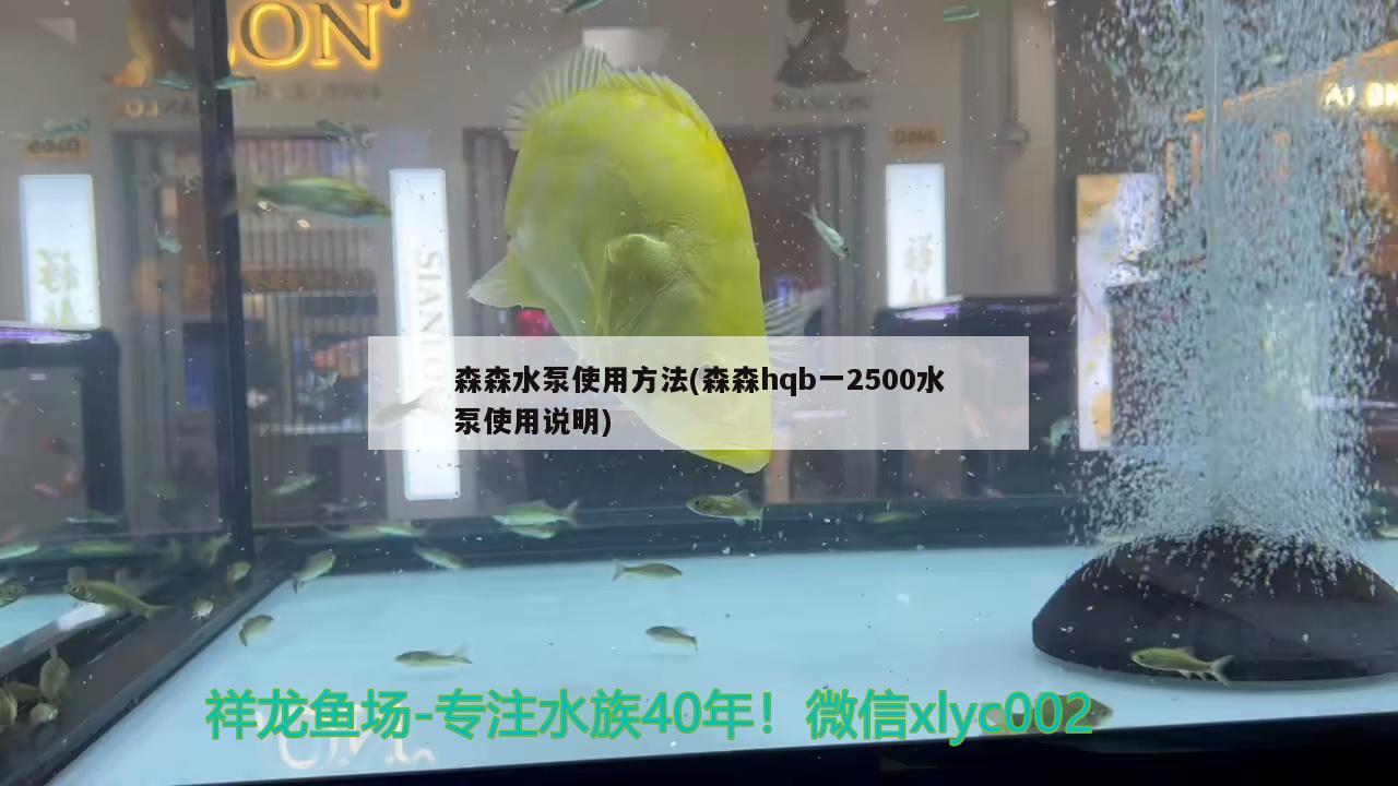 森森水泵使用方法(森森hqb一2500水泵使用说明)