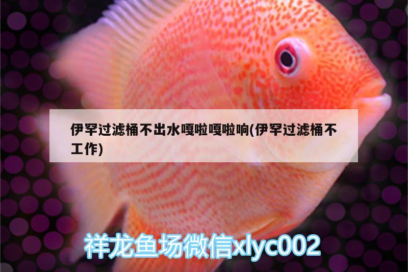 新乡县翟坡天水水族经营部（新乡县翟坡天水水族经营部电话） 全国水族馆企业名录