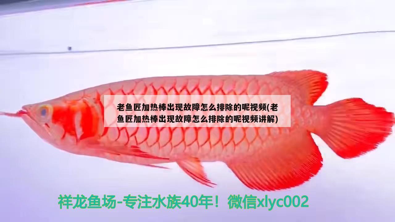 老鱼匠加热棒出现故障怎么排除的呢视频(老鱼匠加热棒出现故障怎么排除的呢视频讲解)