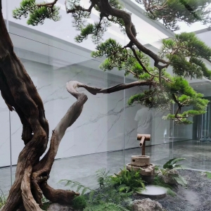 广州祥龙鱼场庭院景观设计：打造庭院景观的美好典范
